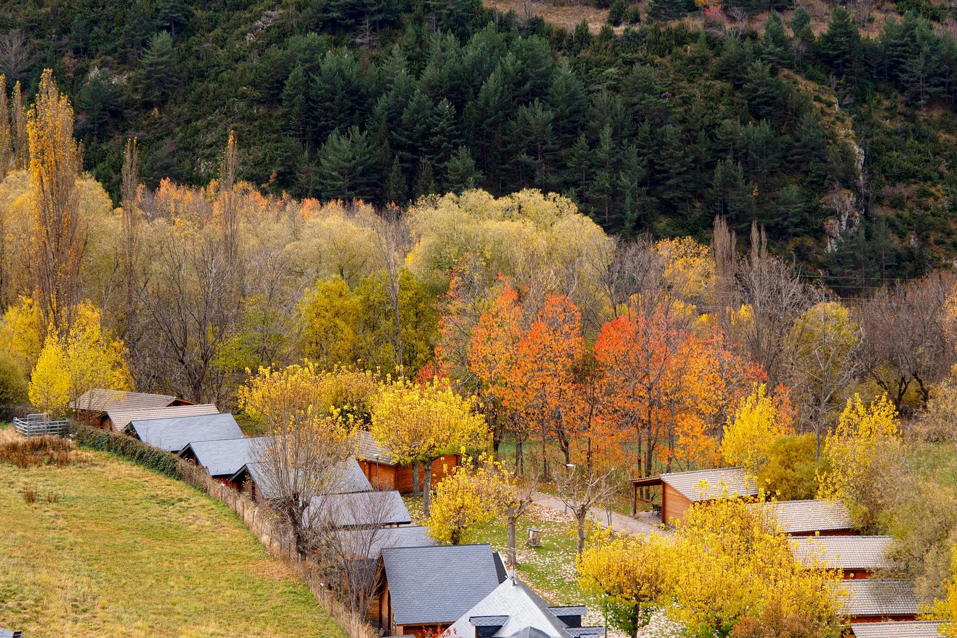 Viviendas rurales entre arbolado de otoño en clima continental de interior